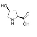 L-Hydroxyprolin, 99%, 51-35-4